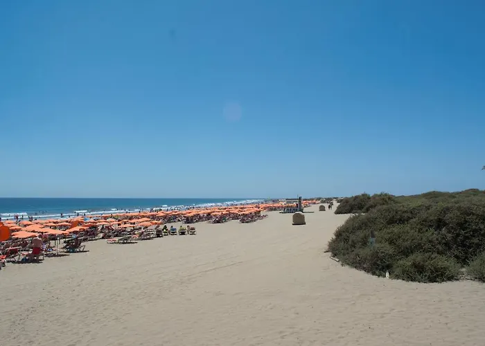 Lejlighed Aloha - Wonderful Private Terrace