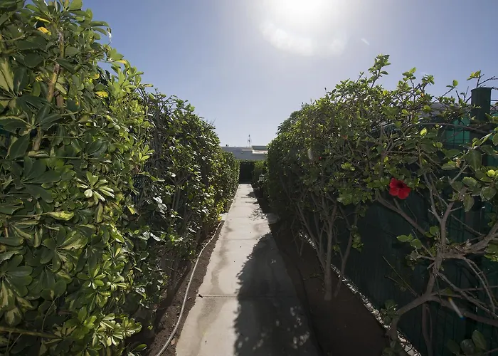 Lejlighed Aloha - Wonderful Private Terrace Maspalomas (Gran Canaria)